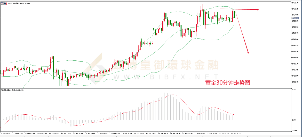 御金黄金走势图 御金黄金走势图