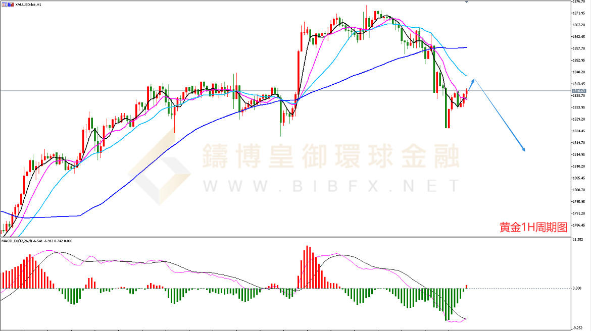 御金国际-黄金走势图 御金国际-黄金走势图