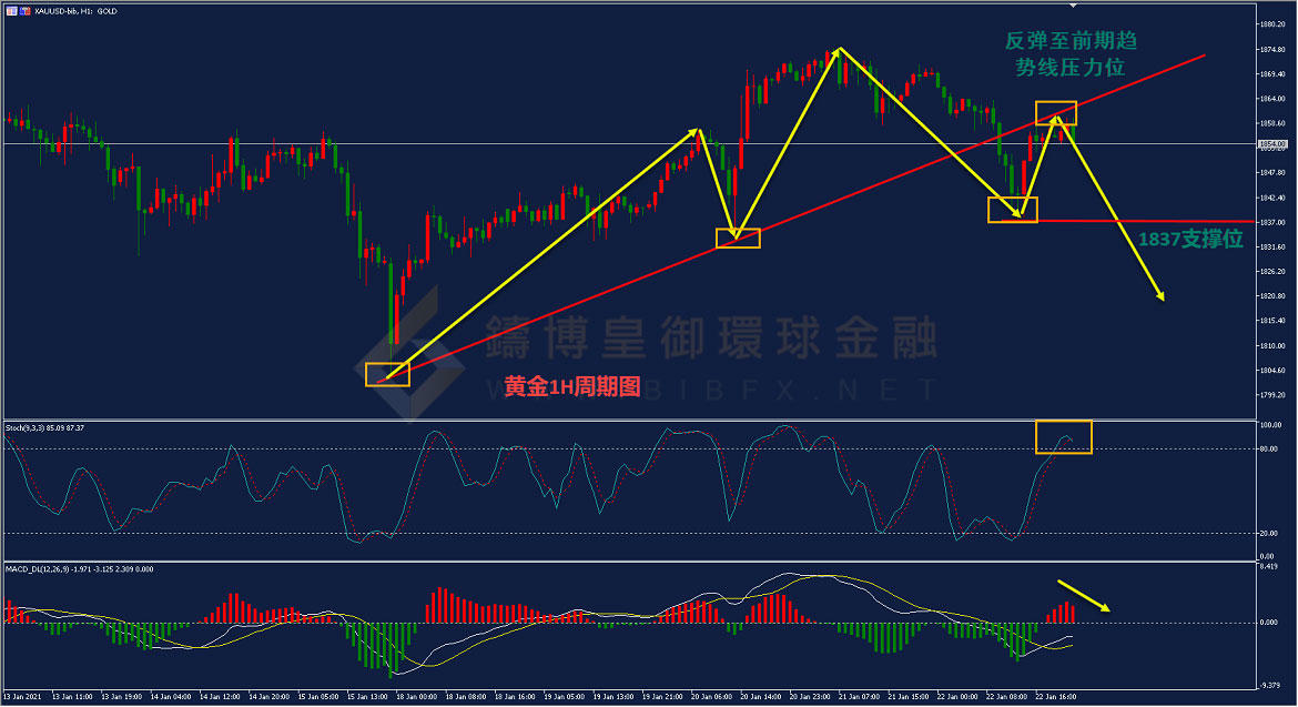御金国际-黄金走势图 御金国际-黄金走势图