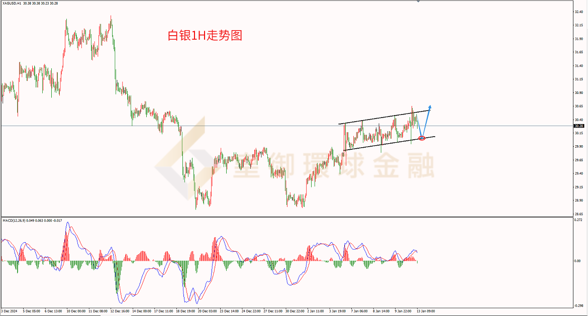 BIBFX-白银走势图 BIBFX-白银走势图