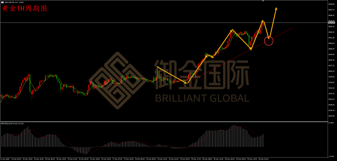 御金国际黄金走势图 御金国际黄金走势图
